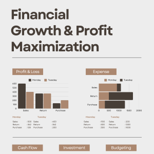 Financial Growth & Profit Maximization